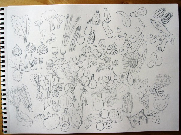 cookbook rough sketches
