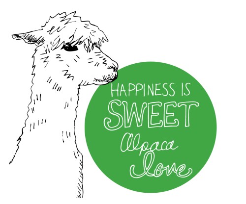 alpaca_love
