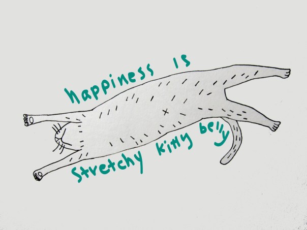 stretchykitty