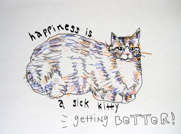 kitty getting better