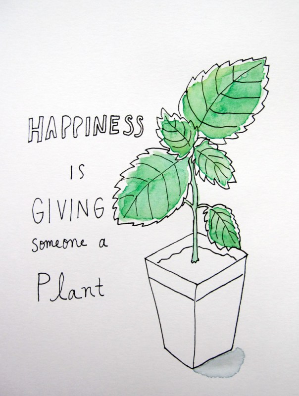 plant giving
