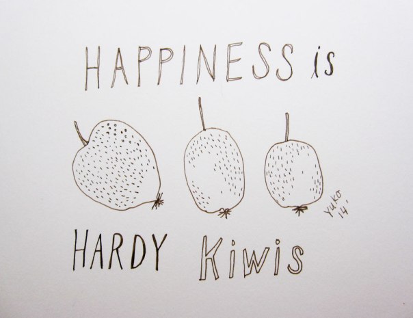 Happiness is hardy kiwis.  And, it has been 6 months since I started the daily happiness drawing!  Woo hoo!  Thank you for coming along on this journey :)