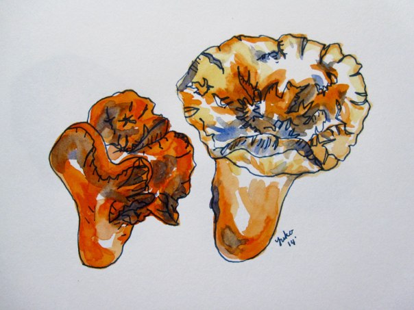 Lobster mushrooms. Edible. Smells and tastes seafood-y. Good shellfish alternative if you don't or can't eat shellfish.