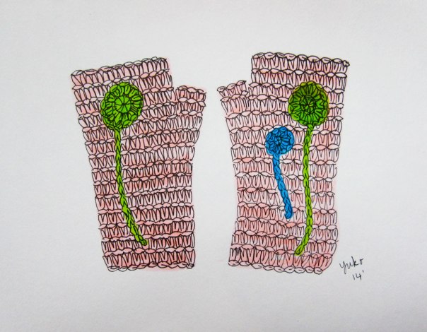 I finished crocheting these gloves.