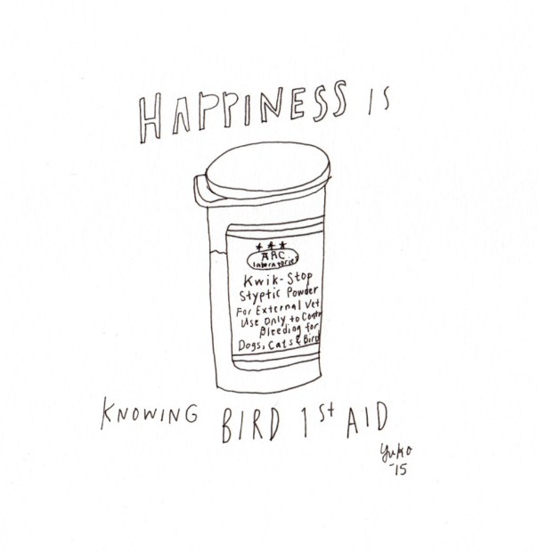 Happiness is knowing bird 1st Aid.  Our parakeets got a little too rambunctious and one of them got hurt :(  She's ok, though.  Be careful little birdies!
