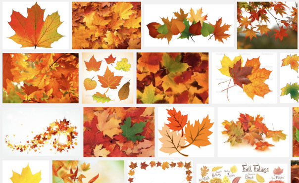 Screen Shot 2015-10-05 at 12.47.15 PM