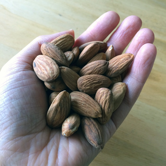 Almonds-in-hand_lores