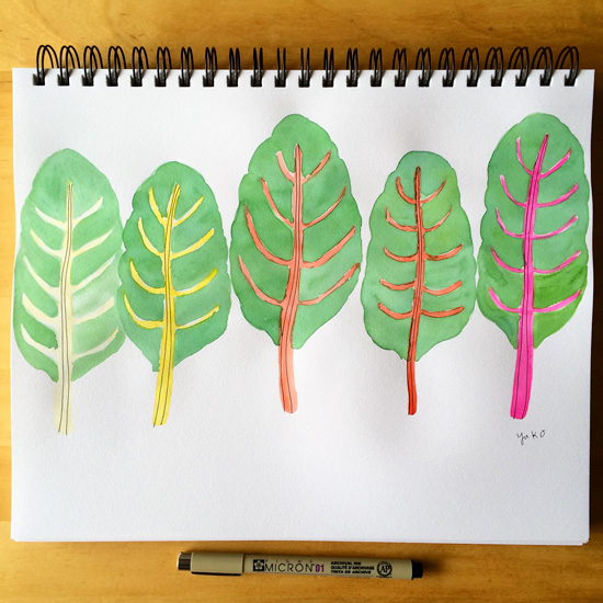 Rainbow-chards_lores