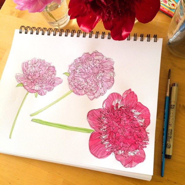 Peonies-sketchbook_1000px