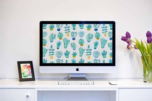 blue-succulent-desktop-mockup_1000px